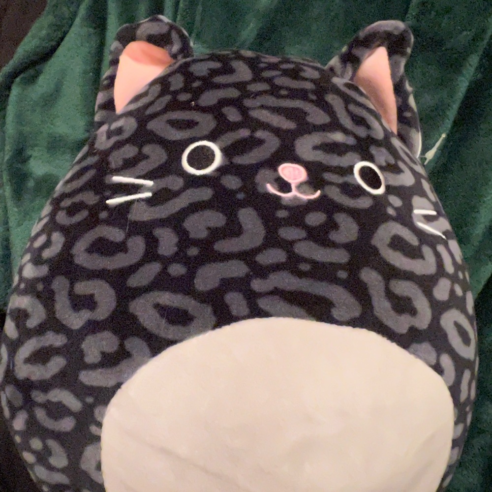 Xiomara squishmallow